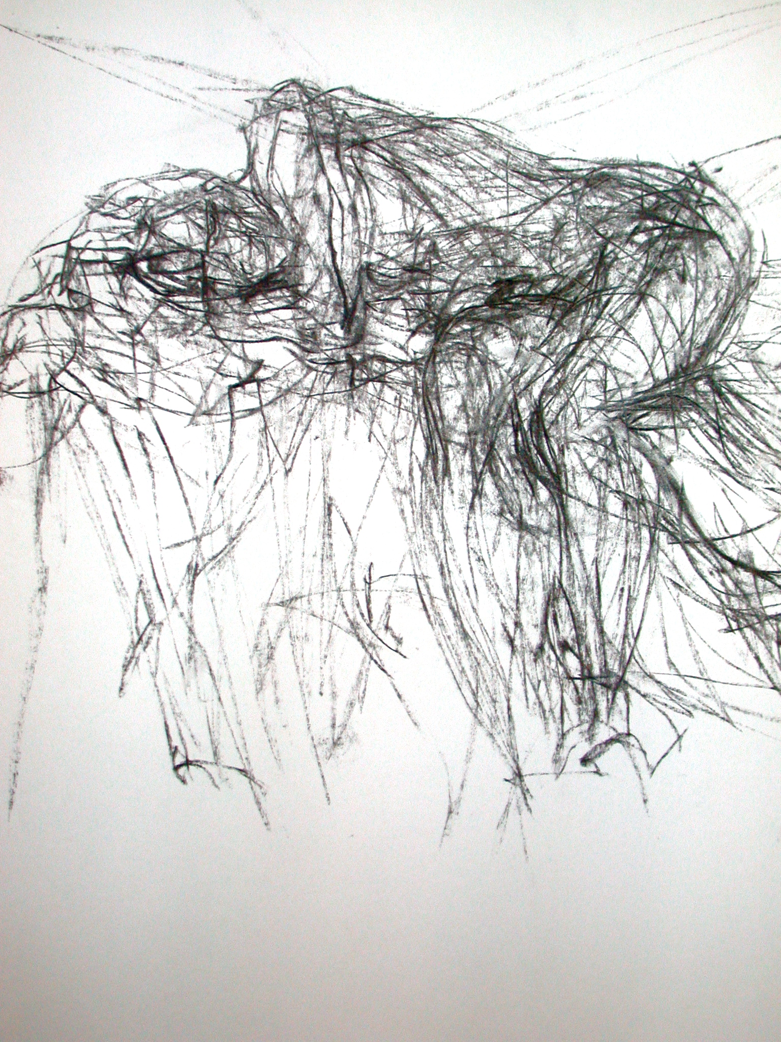 dessin